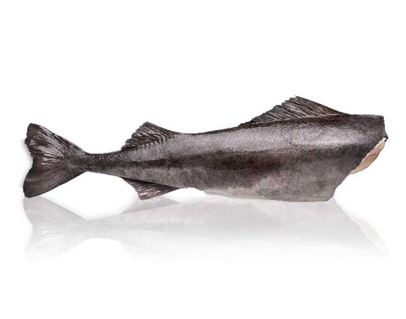 chernaja treska - Угольная рыба (черная треска)