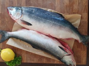 whatsapp image 2025 07 28 at 09.26.51 300x225 - Горбуша с/м НПСГ (вылов 2025)